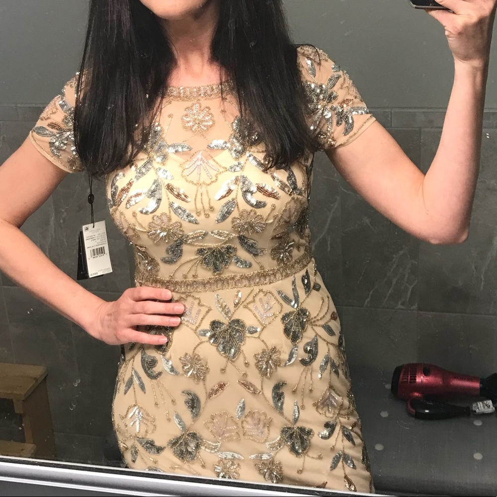 Adrianna Papell gown